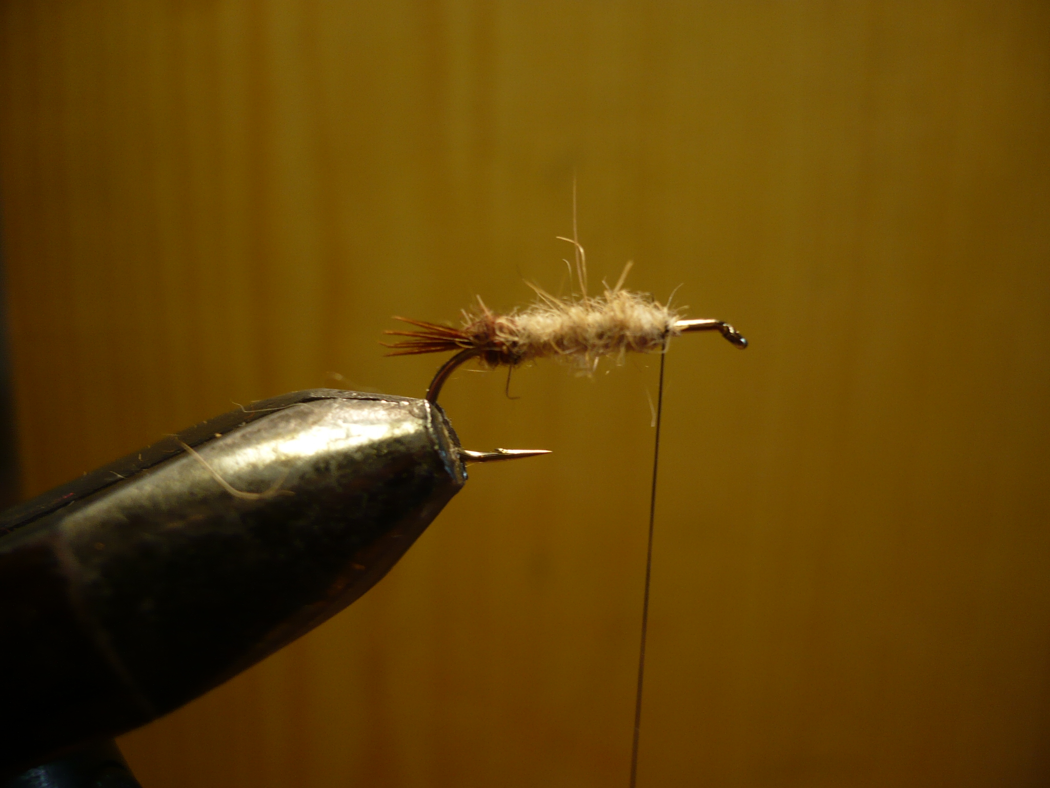 MDM mouche de may nymphe flytying tying fly eclosion