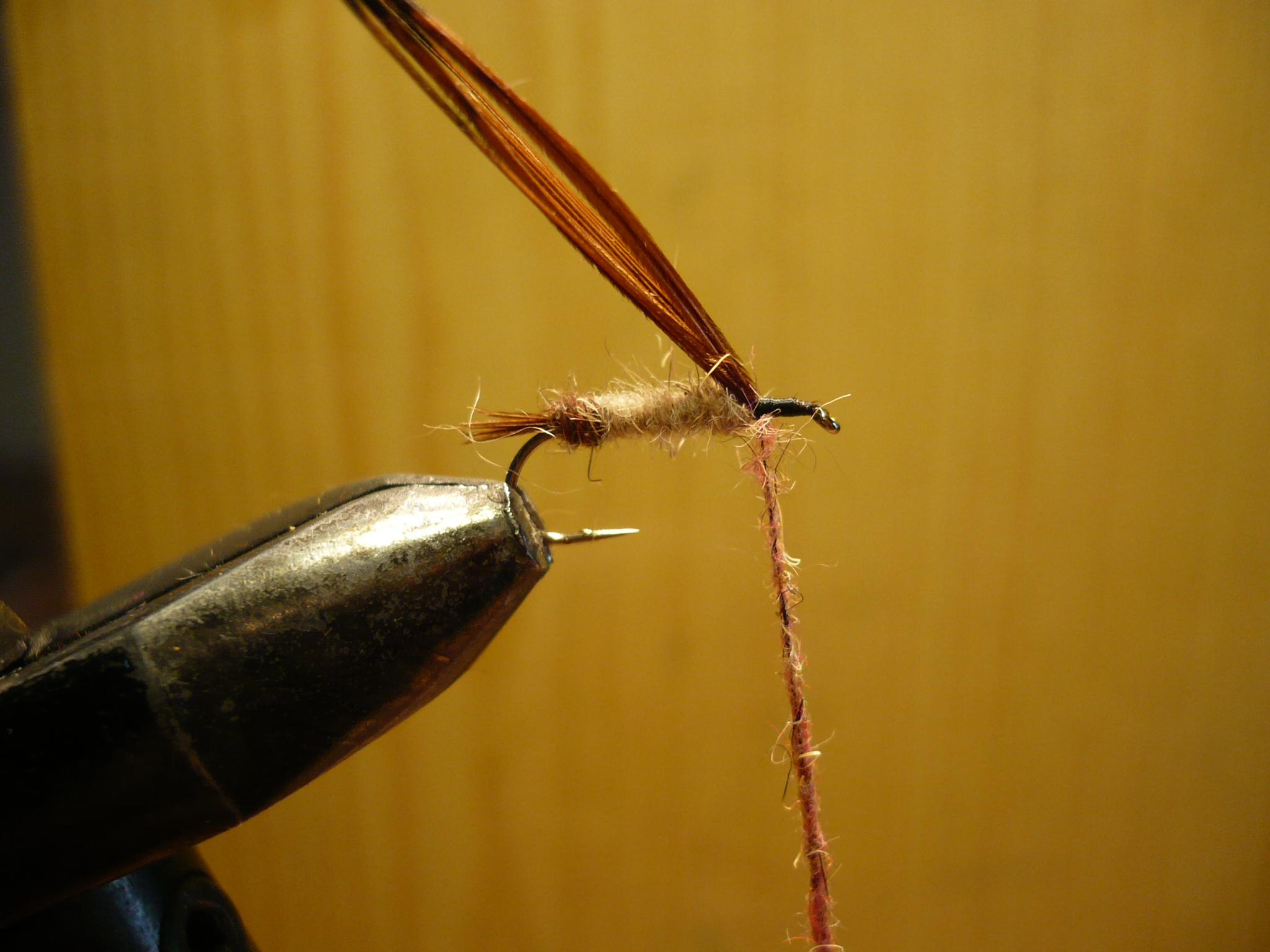 MDM mouche de may nymphe flytying tying fly eclosion