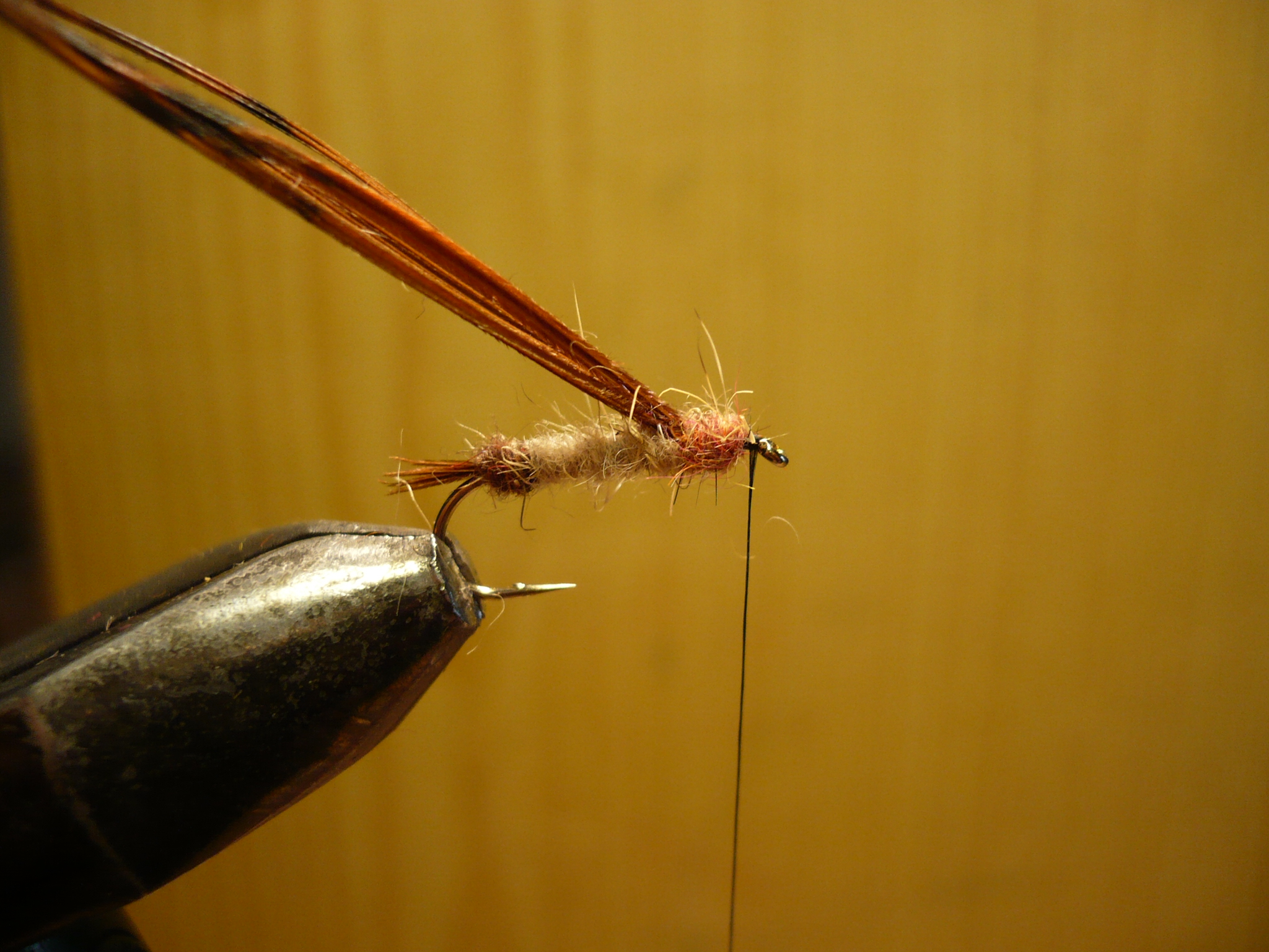 MDM mouche de may nymphe flytying tying fly eclosion