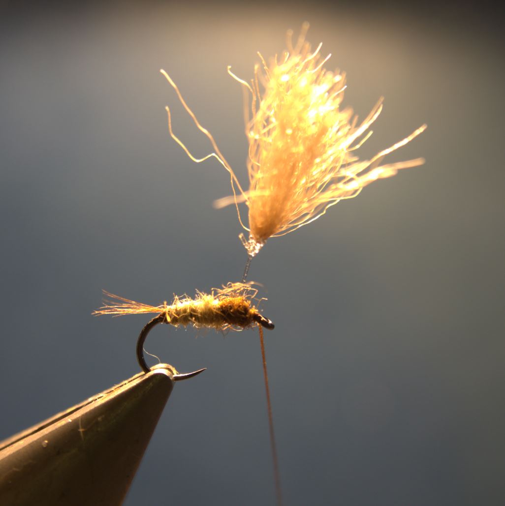 Ombrelle nymphe nymph fly mouche flytying tying dubbing eclosion