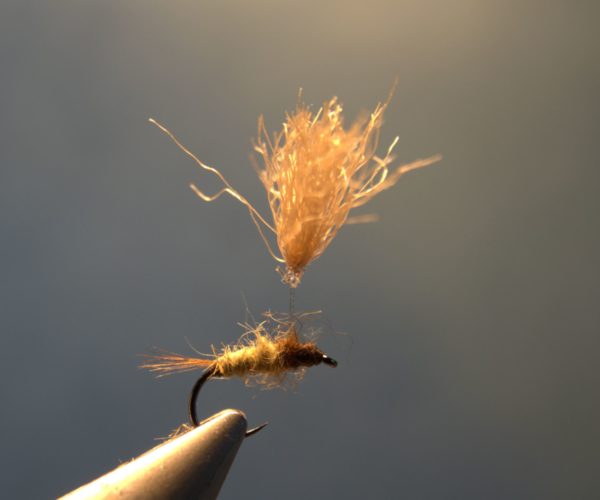 Ombrelle nymphe nymph fly mouche flytying tying dubbing eclosion