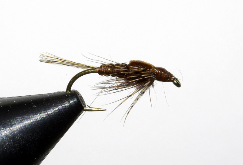 ANR absolute no refuse nymphe nymph mouche fly flytying tying eclosion