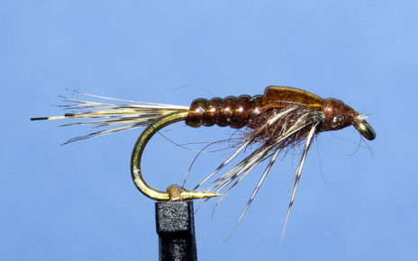 ANR absolute no refuse nymphe nymph mouche fly flytying tying eclosion