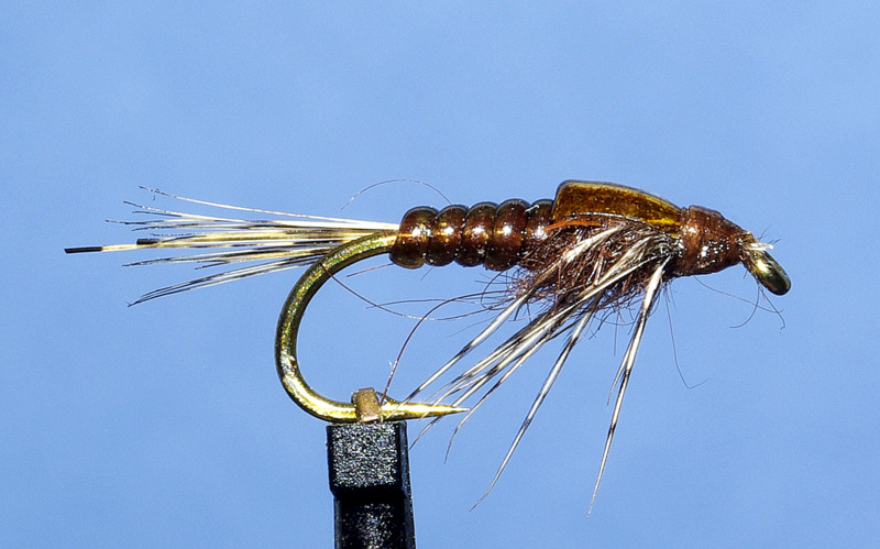 ANR absolute no refuse nymphe nymph mouche fly flytying tying eclosion