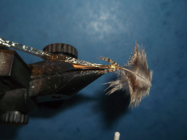absolute no refuse nymph nymphe anr mouche fly tying flytying eclosion