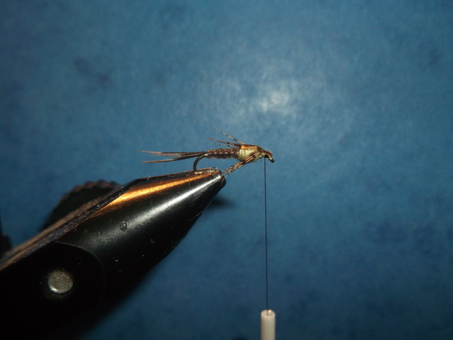 absolute no refuse nymph nymphe anr mouche fly tying flytying eclosion