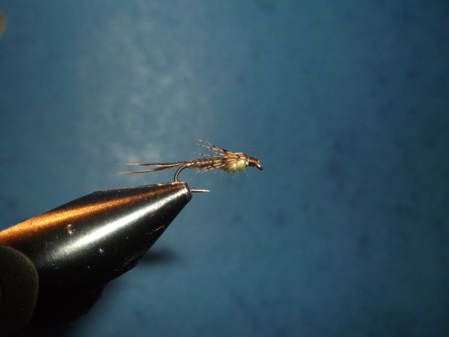 absolute no refuse nymph nymphe anr mouche fly tying flytying eclosion