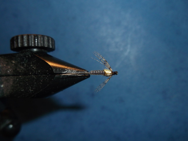 absolute no refuse nymph nymphe anr mouche fly tying flytying eclosion