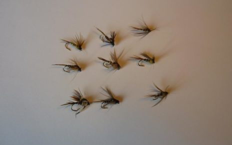 ANR nymphe nymphe flytying fly tying mouche eclosion