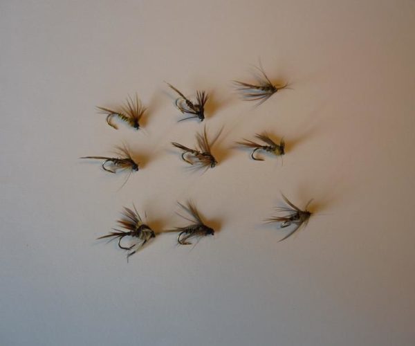 ANR nymphe nymphe flytying fly tying mouche eclosion