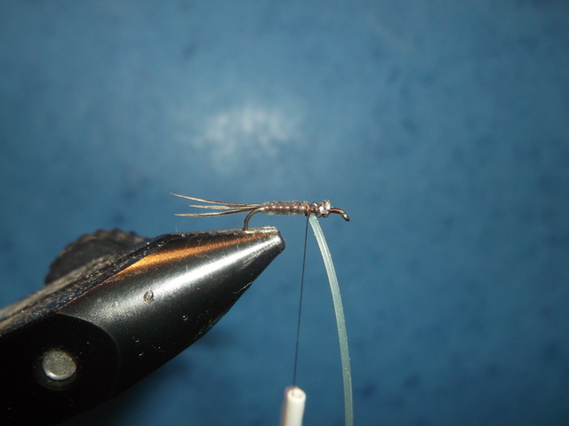 absolute no refuse nymph nymphe anr mouche fly tying flytying eclosion