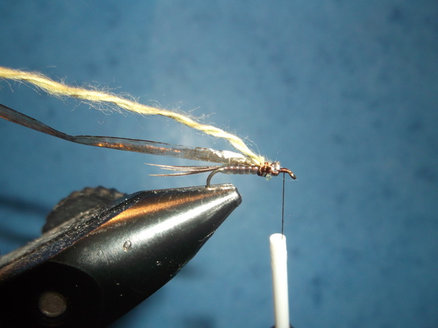 absolute no refuse nymph nymphe anr mouche fly tying flytying eclosion