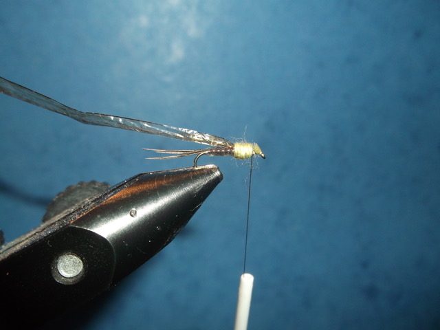 absolute no refuse nymph nymphe anr mouche fly tying flytying eclosion