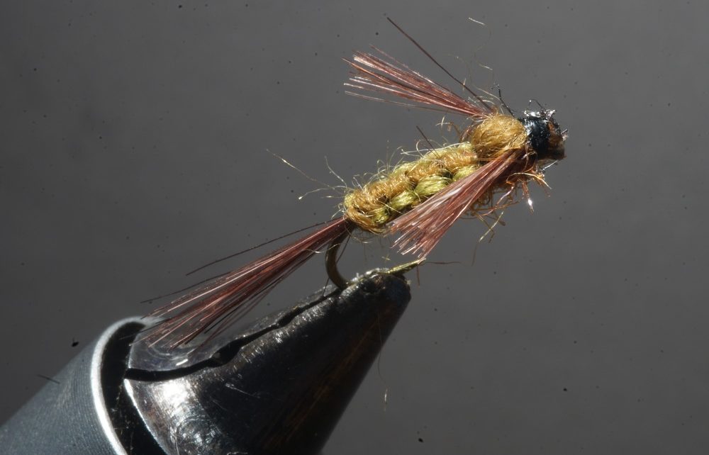 ANR flenette nymphe nymph fly tying flying eclosion