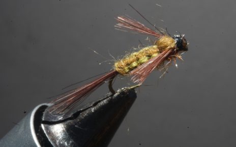 ANR flenette nymphe nymph fly tying flying eclosion