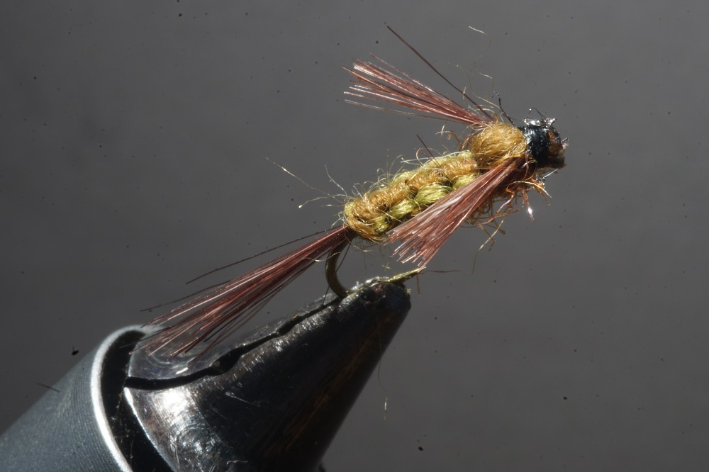 ANR flenette nymphe nymph fly tying flying eclosion