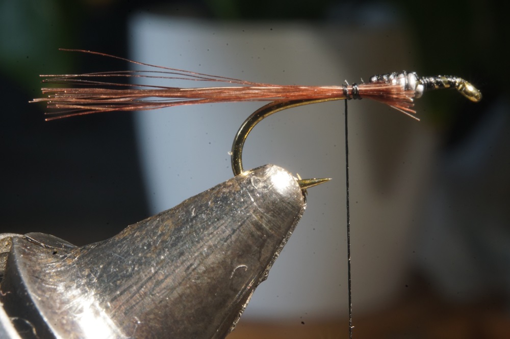 ANR flenette nymphe nymph fly tying flying eclosion