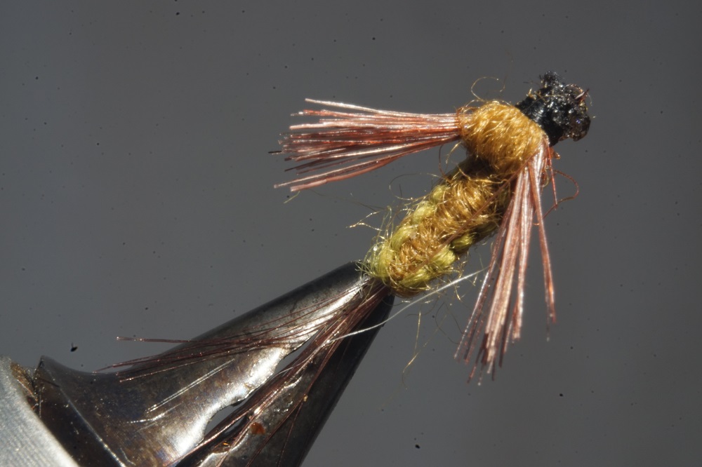 ANR flenette nymphe nymph fly tying flying eclosion