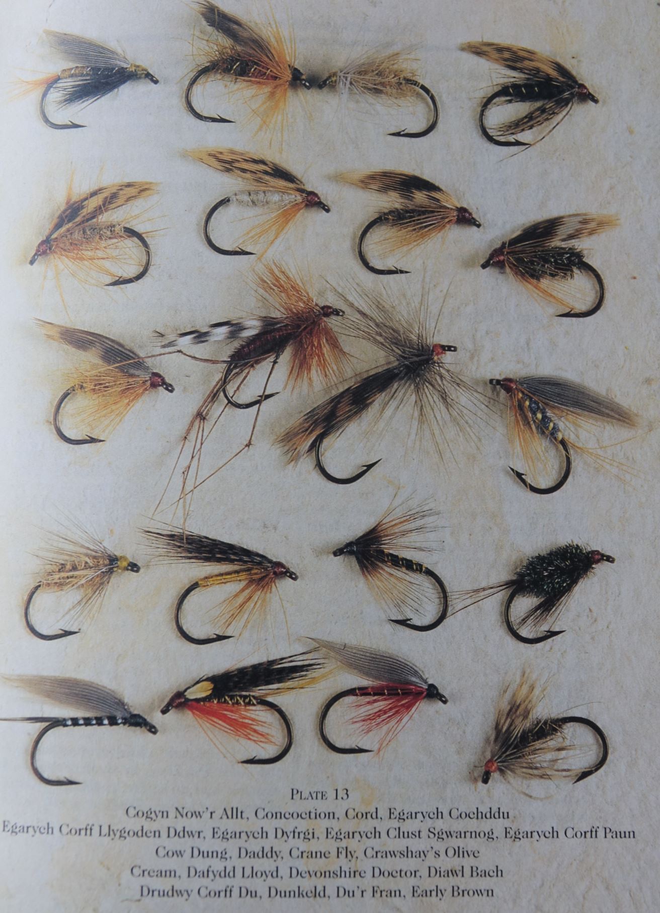 Flies of wales moc morgan couverture eclosion fly tying tying mouche 2