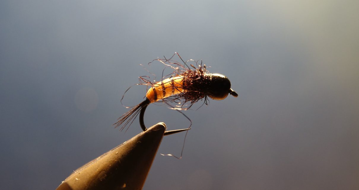 Glow nymphe nymph fly tying flytying eclosion