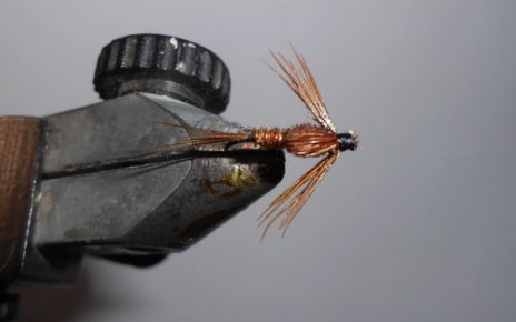 ANR absolute no refuse faisan pheasant nymphe nymph fly mouche tying flytying eclosion