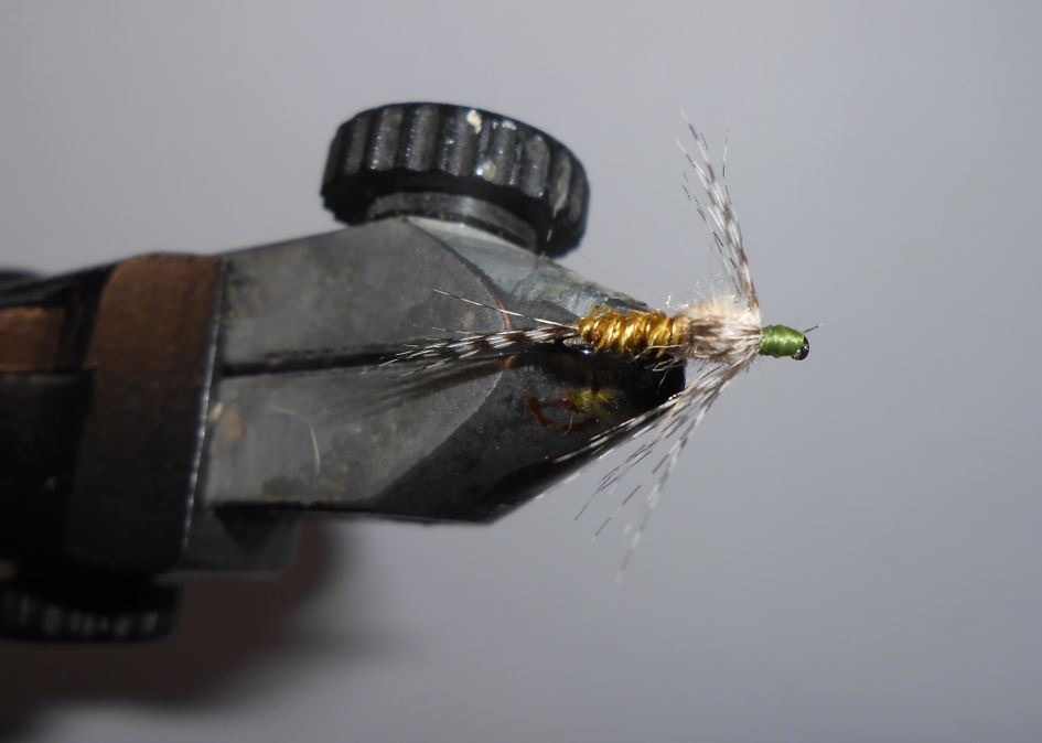 ANR sarcelle teal absolute no refuse nymphe nymph mouche flytying fly tying eclosion