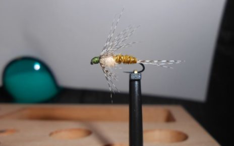 ANR sarcelle teal absolute no refuse nymphe nymph mouche flytying fly tying eclosion