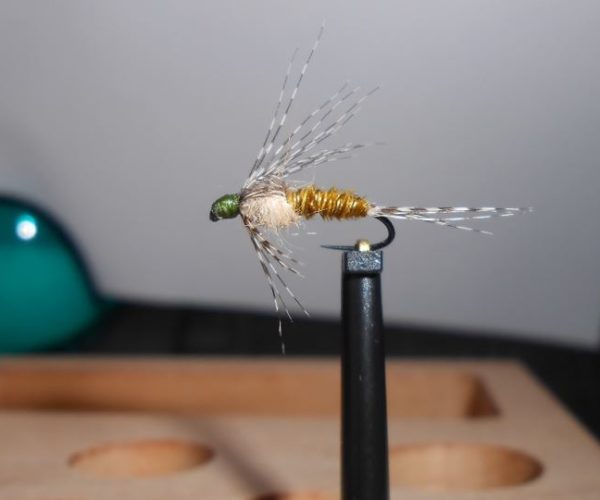 ANR sarcelle teal absolute no refuse nymphe nymph mouche flytying fly tying eclosion