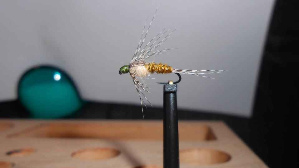 ANR sarcelle teal absolute no refuse nymphe nymph mouche flytying fly tying eclosion