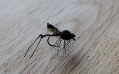 bibio marci fly mouche flytying tying terrestre terrestrial eclosion