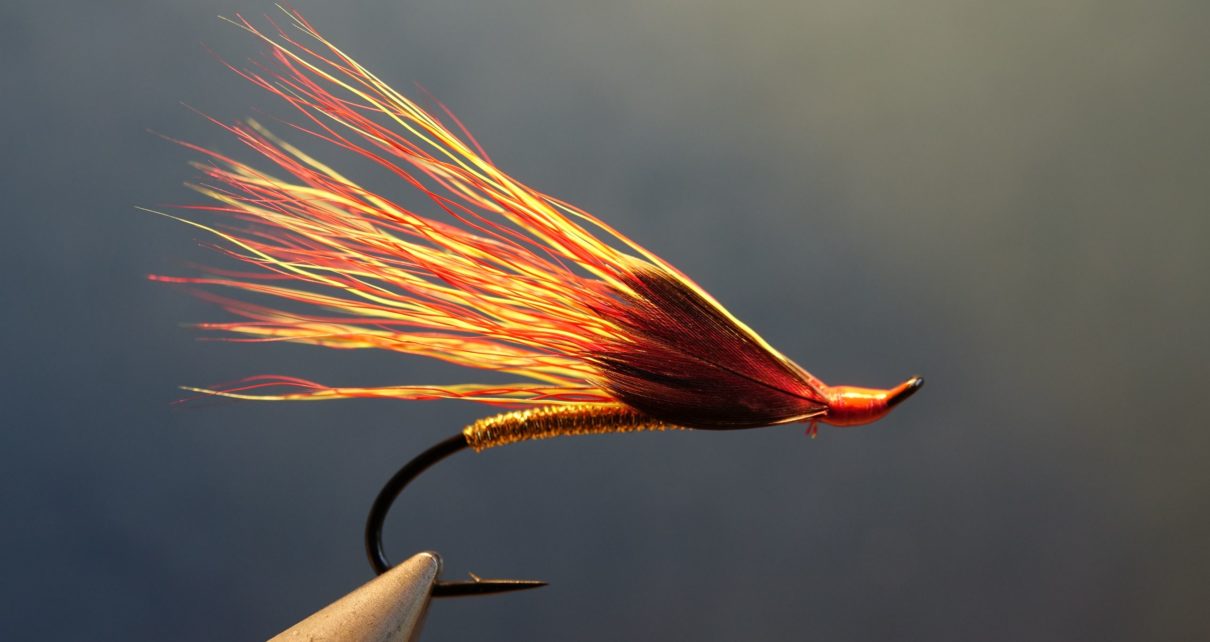 Fire&Gold mouche fly salmon sea trout tying flytying eclosion