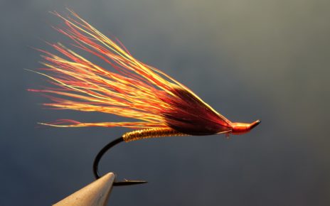 Fire&Gold mouche fly salmon sea trout tying flytying eclosion