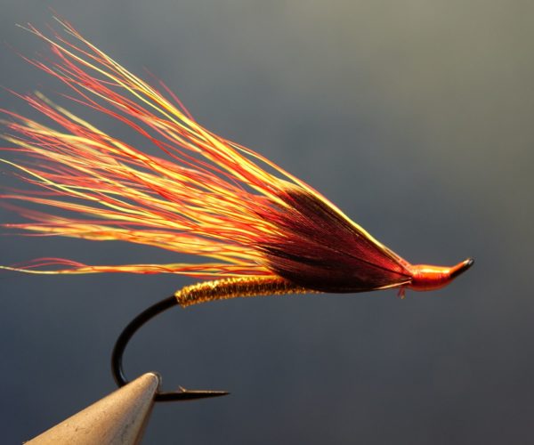 Fire&Gold mouche fly salmon sea trout tying flytying eclosion