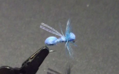 Fourmi bleue blue ant fly tying flytying mouche éclosion