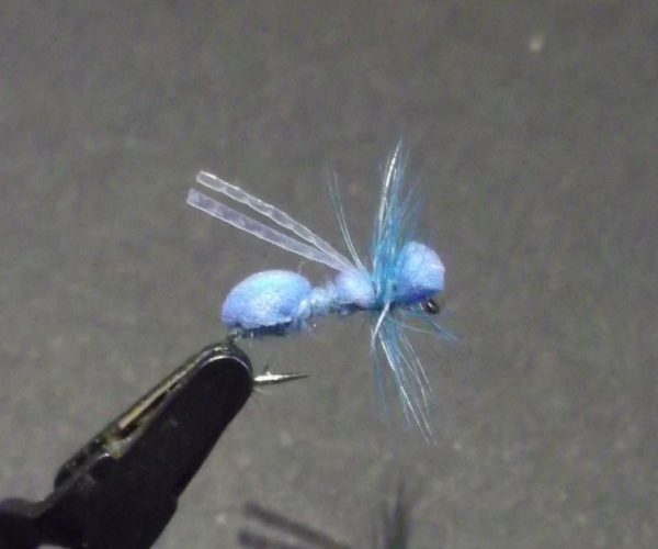 Fourmi bleue blue ant fly tying flytying mouche éclosion