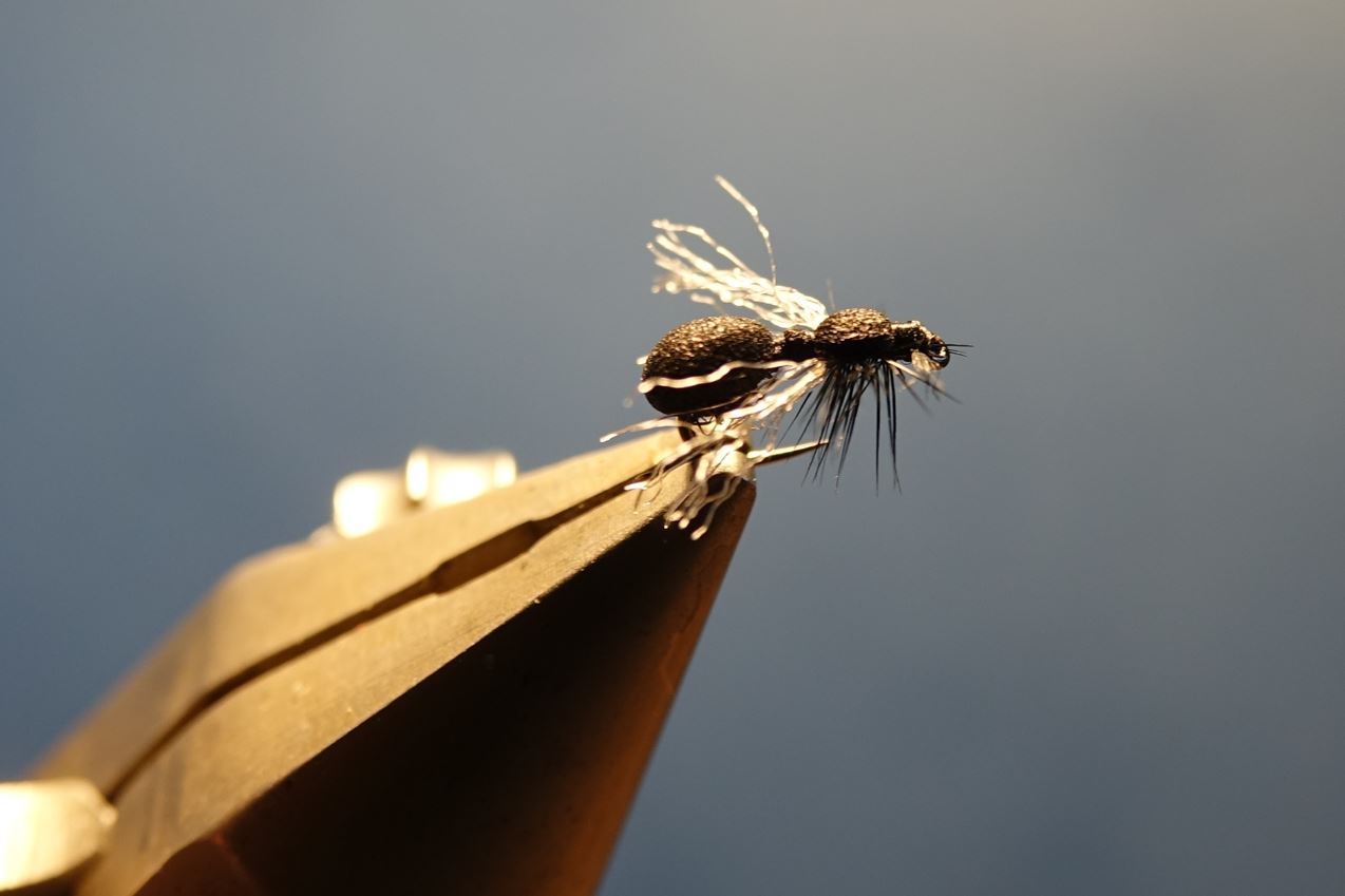 Fourml ant flytying fly tying mouche eclosion