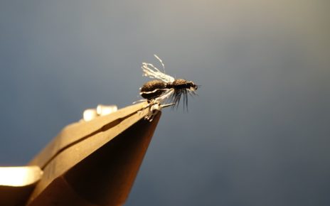 Fourml ant flytying fly tying mouche eclosion