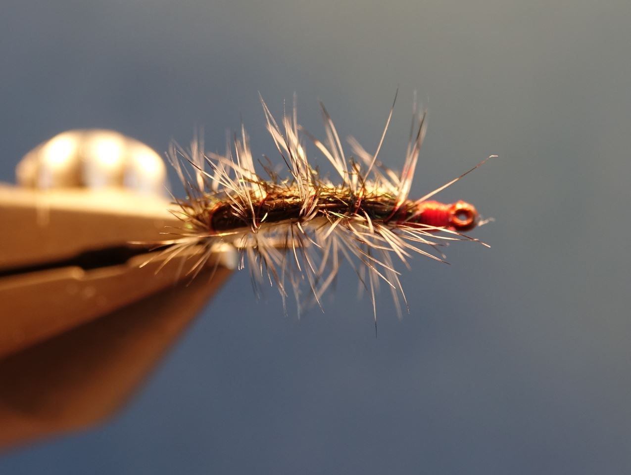 caterpillar chenille mouche fly tying flytying eclosion