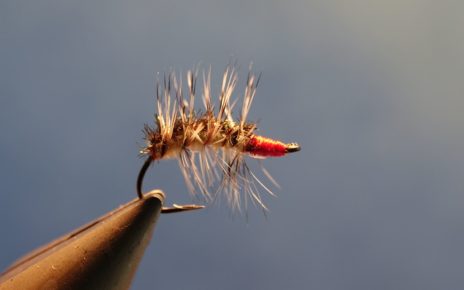 caterpillar chenille mouche fly tying flytying eclosion