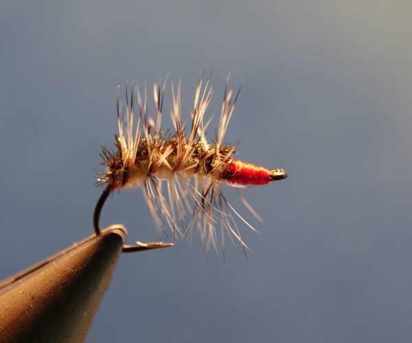 caterpillar chenille mouche fly tying flytying eclosion