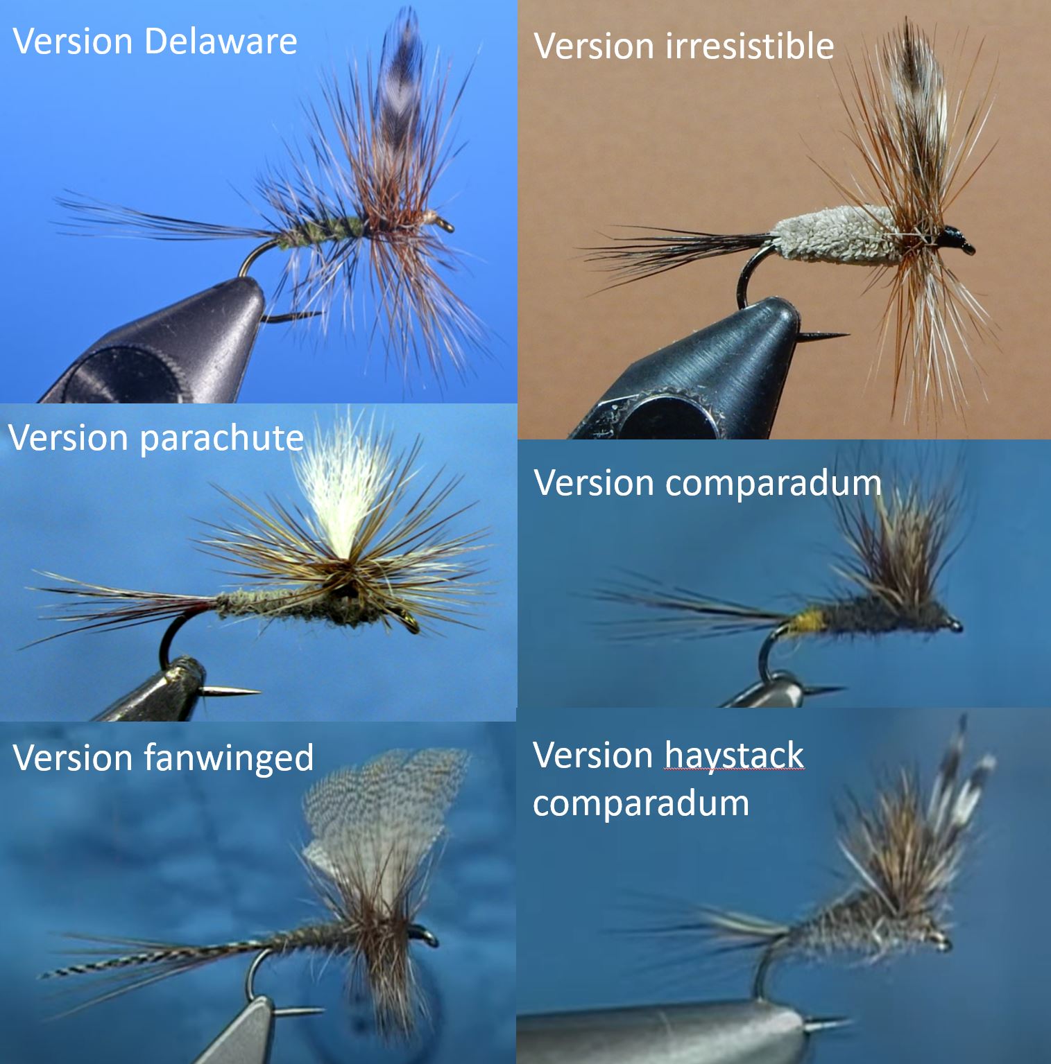 Adams fly tying flytying mouche fanwinged delaware irresistible comparadul haystack eclosion