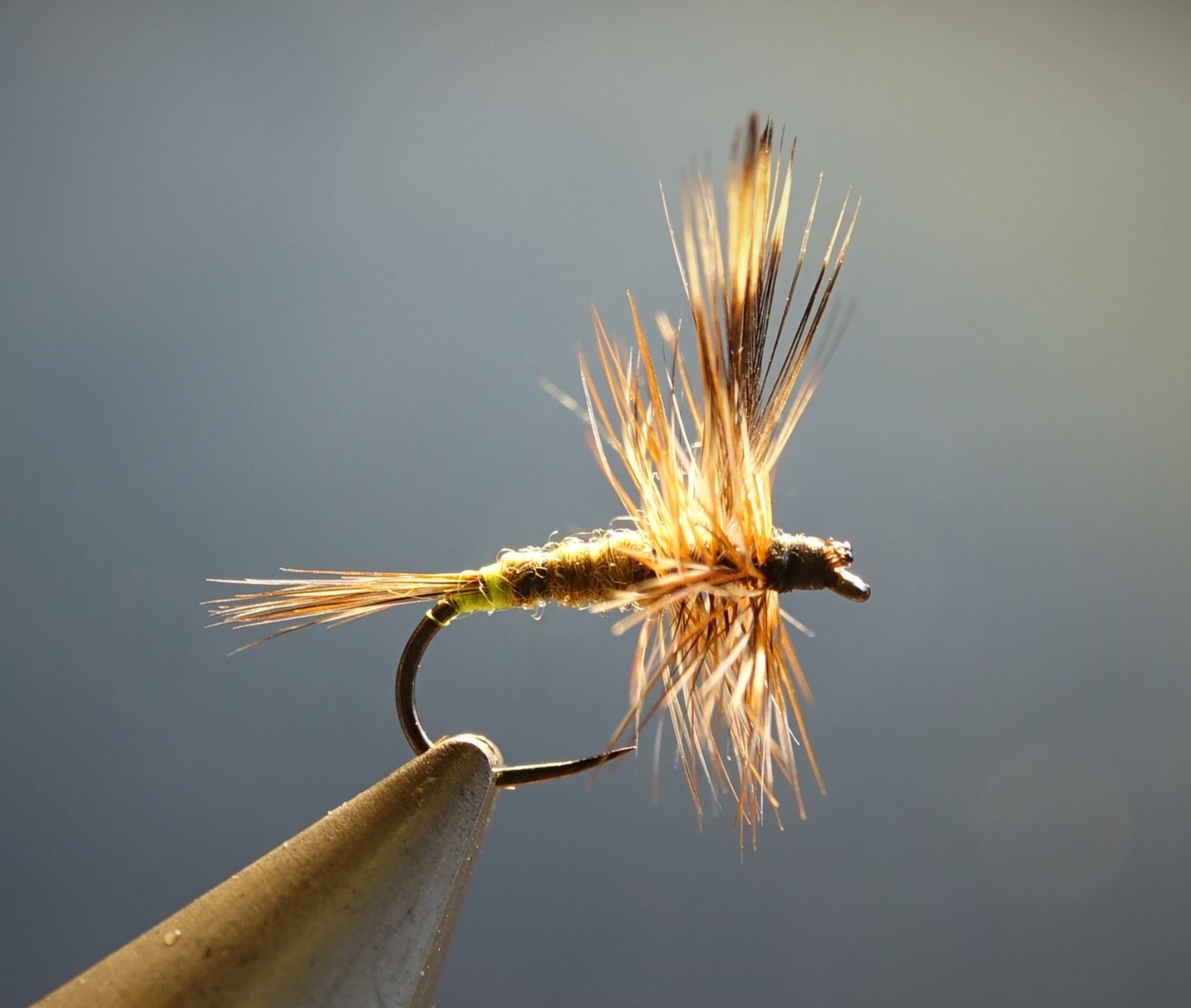 Adams femelle female fly tying flytying mouche eclosion