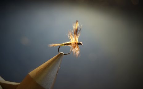 Adams femelle female fly tying flytying mouche eclosion