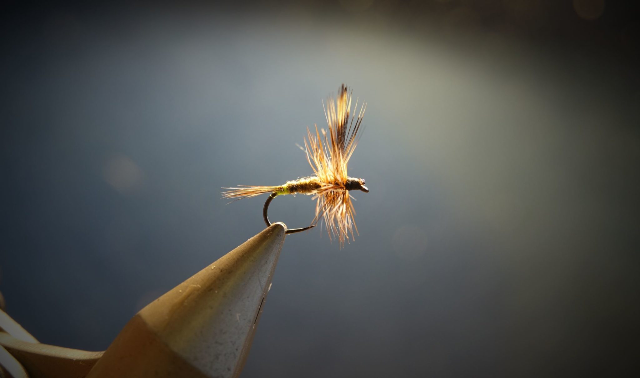 Adams femelle female fly tying flytying mouche eclosion