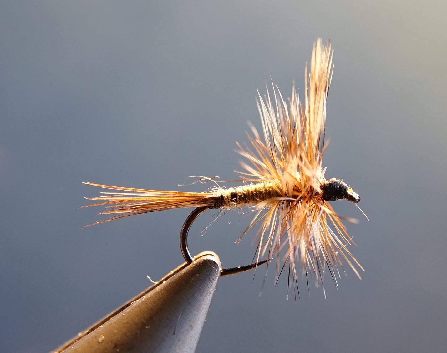 Adams femelle female fly tying flytying mouche eclosion