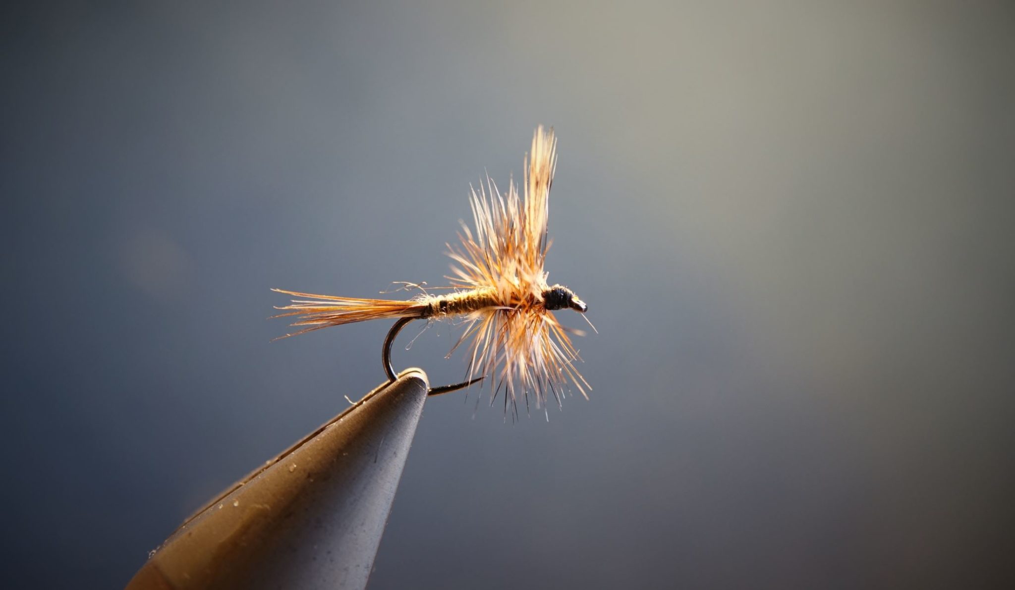 Adams femelle female fly tying flytying mouche eclosion