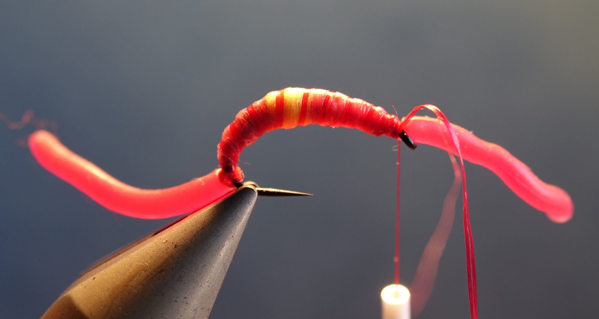 SanJuan worm vers mouche fly tying flytying eclosio