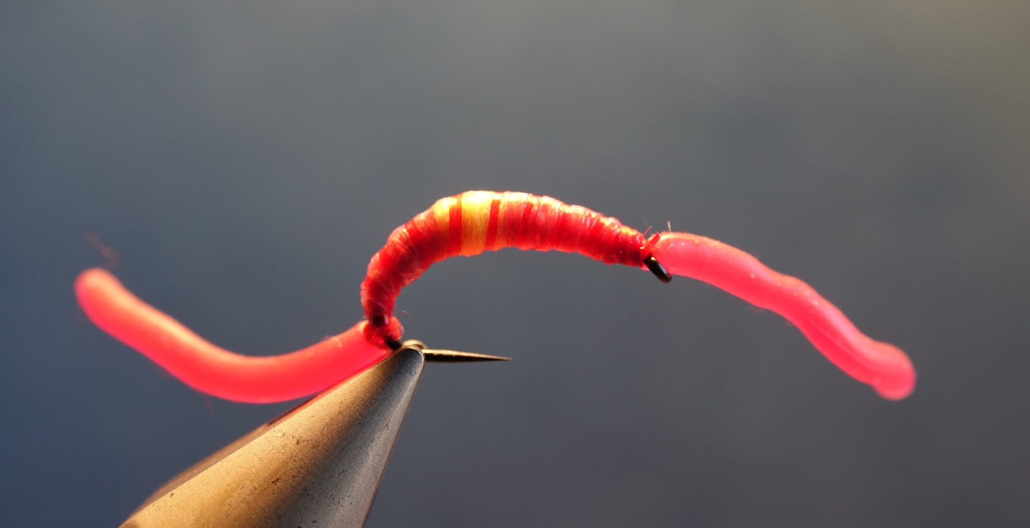 SanJuan worm vers mouche fly tying flytying eclosio