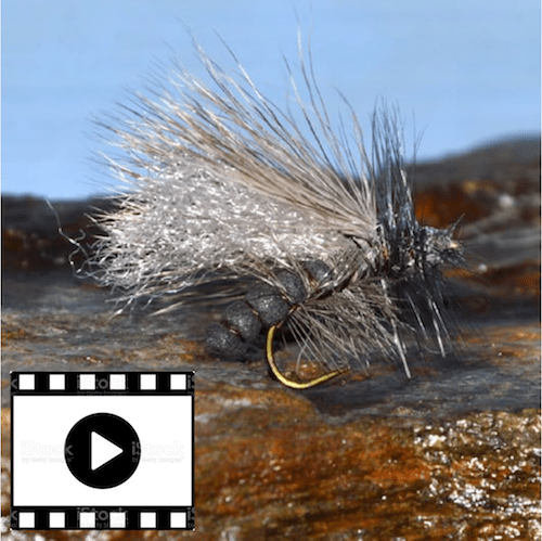 Stimulator stonefmly perle mouche flytying fly tying eclosion