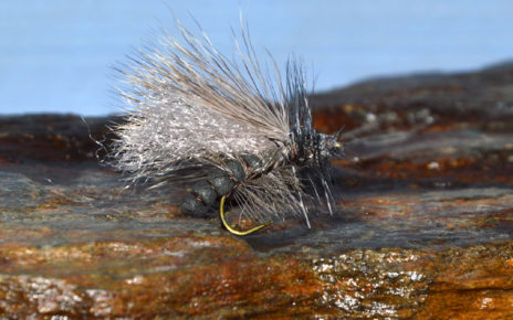 Stimulator stonefly perle mouche flytying mouche fly tying eclosion